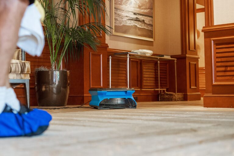 Carpet & Upholstery Cleaning Hobe Sound FL