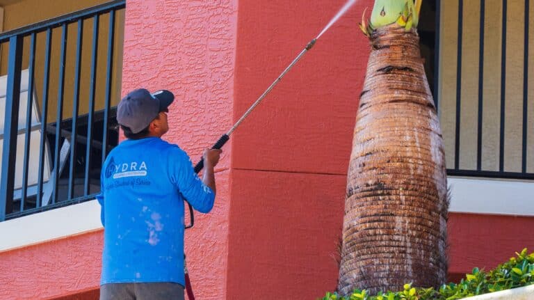 Worker pressure washing palm tree trunk outside a residential building in Jupiter, FL